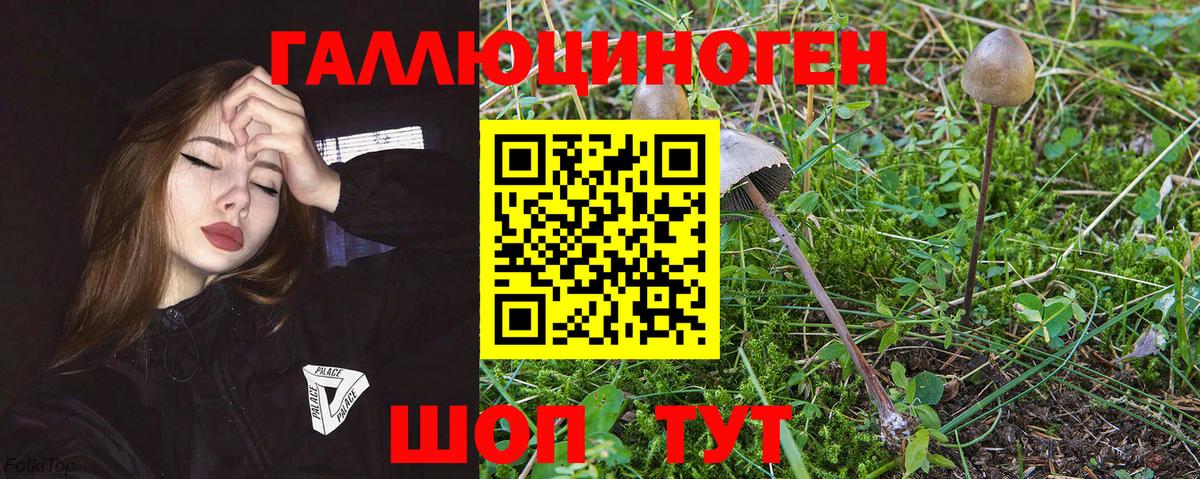 Галлюциногенные грибы MAGIC MUSHROOMS Кушва