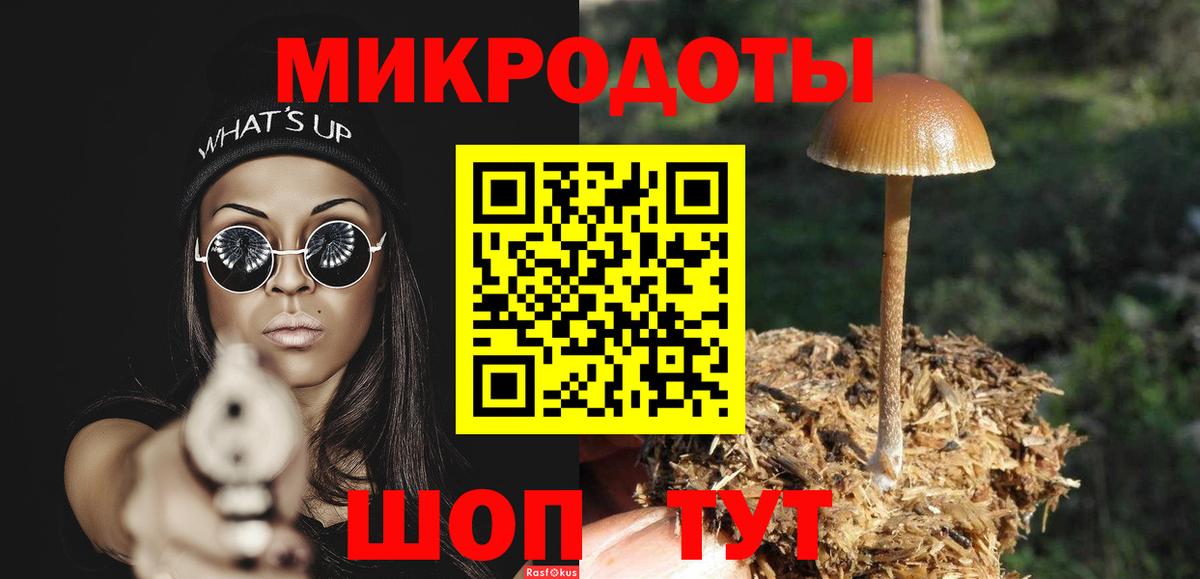 Псилоцибиновые грибы Psilocybine cubensis  Вход с VPN  Кушва 